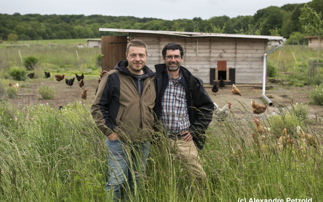 Concours Général Agricole – Agroforesterie : l’Île-de-France a un lauréat